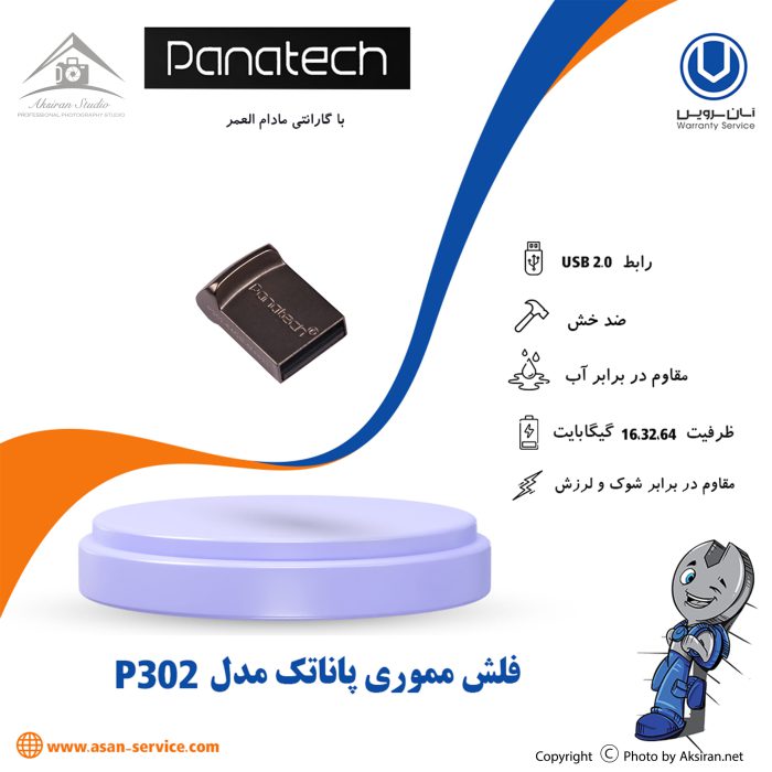 Panatech P302 Flash Memory