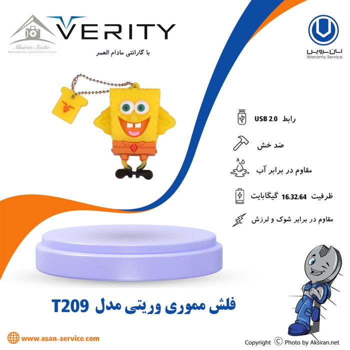 Verity T209 Flash Memory