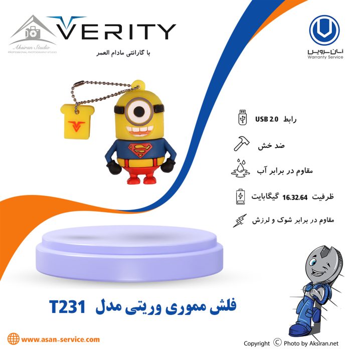 verity T231 flash drive
