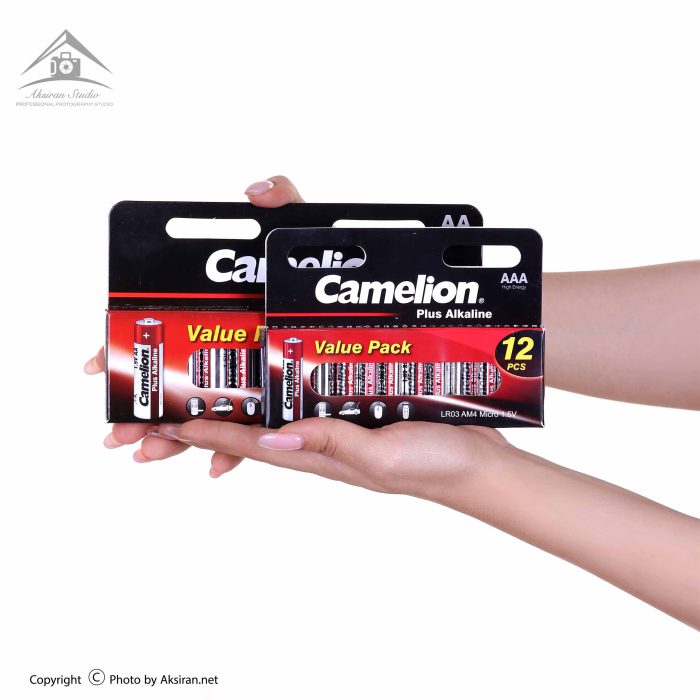 Camelion Plus Alkaline Battery Pack of 12