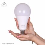 لامپ LED حبابی 25 وات سیدکو